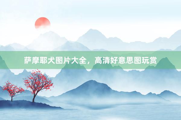 萨摩耶犬图片大全，高清好意思图玩赏