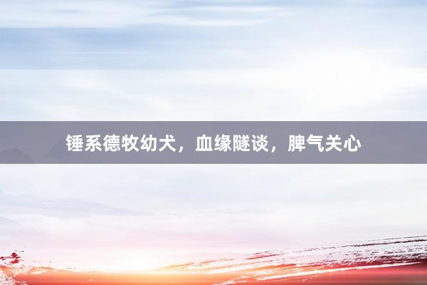 锤系德牧幼犬，血缘隧谈，脾气关心